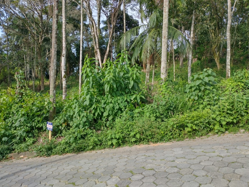 Terreno Velha - Blumenau - Venda